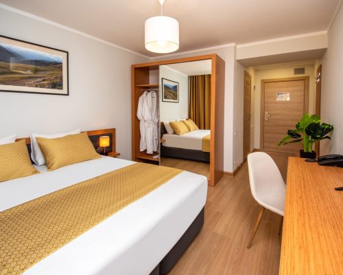 standard double room